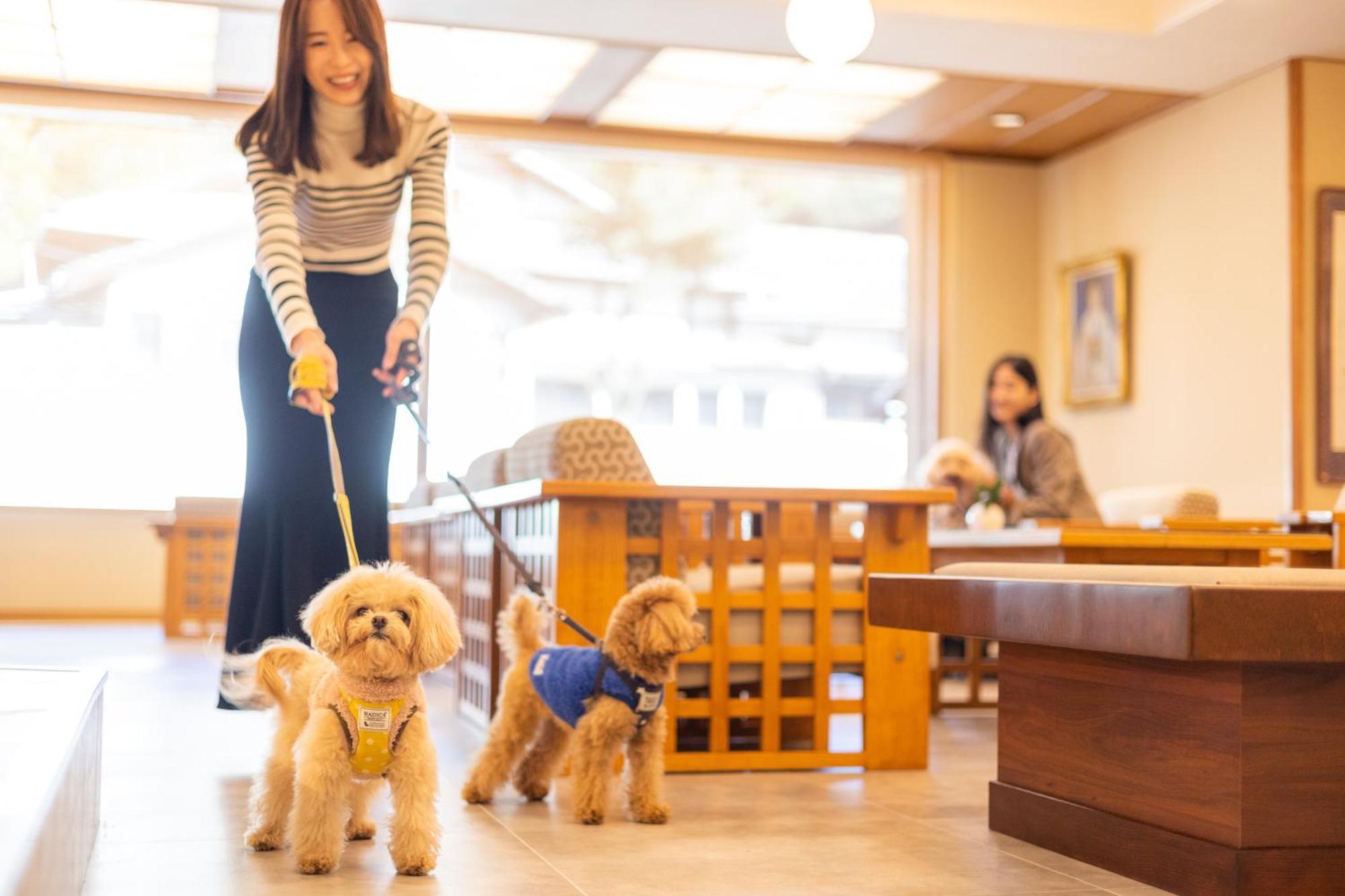 Komatsuya Hachinobou Izunokuni Buitenkant foto