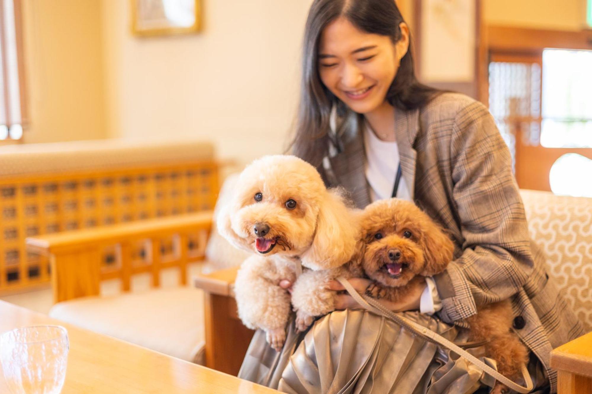 Komatsuya Hachinobou Izunokuni Buitenkant foto