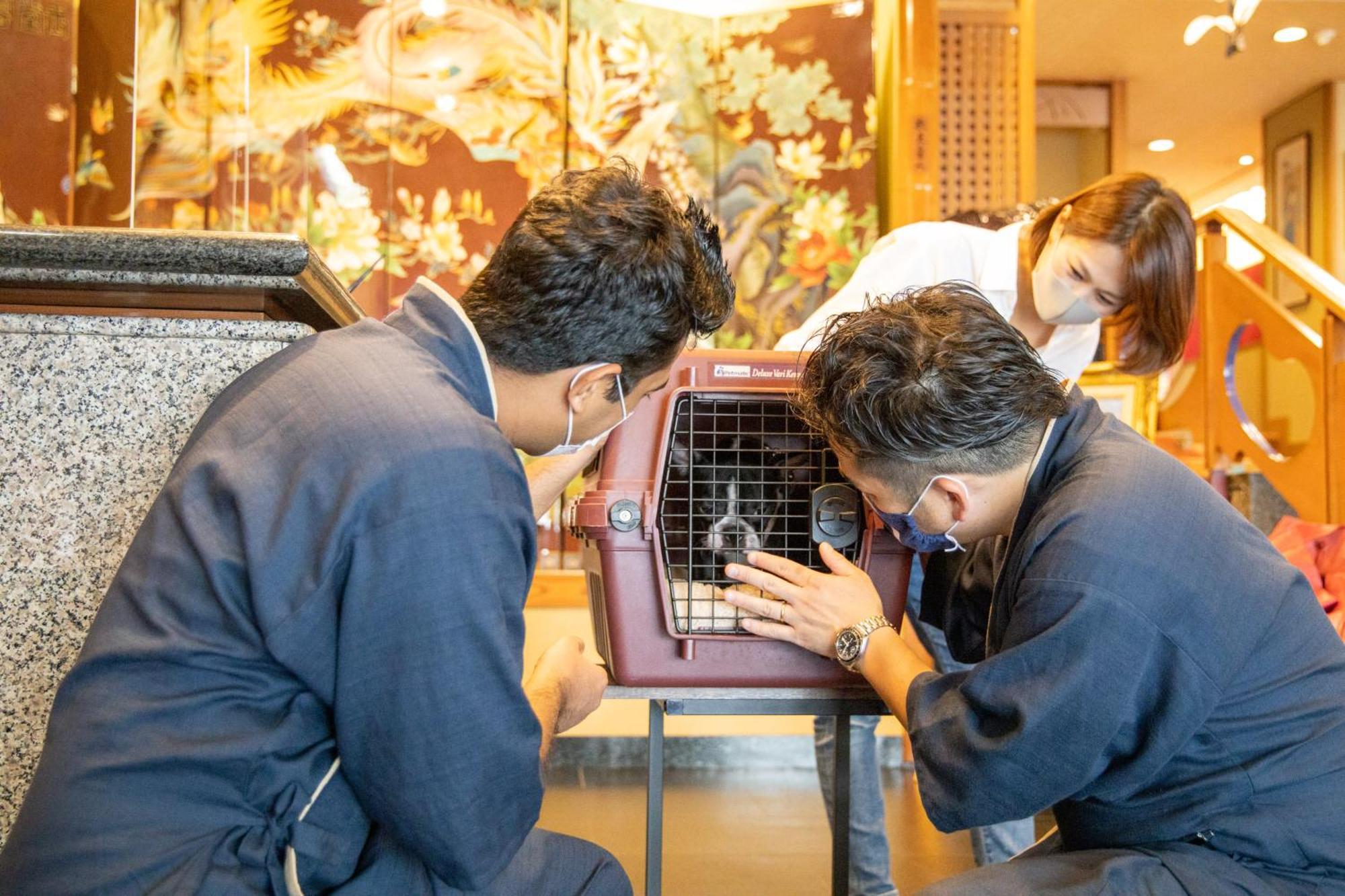 Komatsuya Hachinobou Izunokuni Buitenkant foto