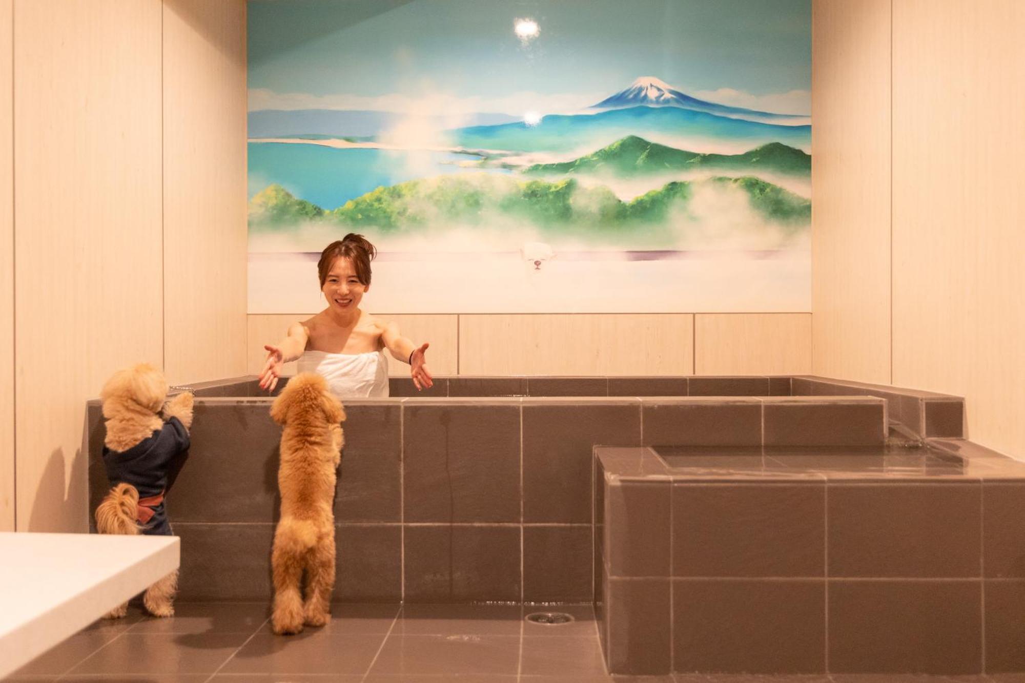 Komatsuya Hachinobou Izunokuni Buitenkant foto