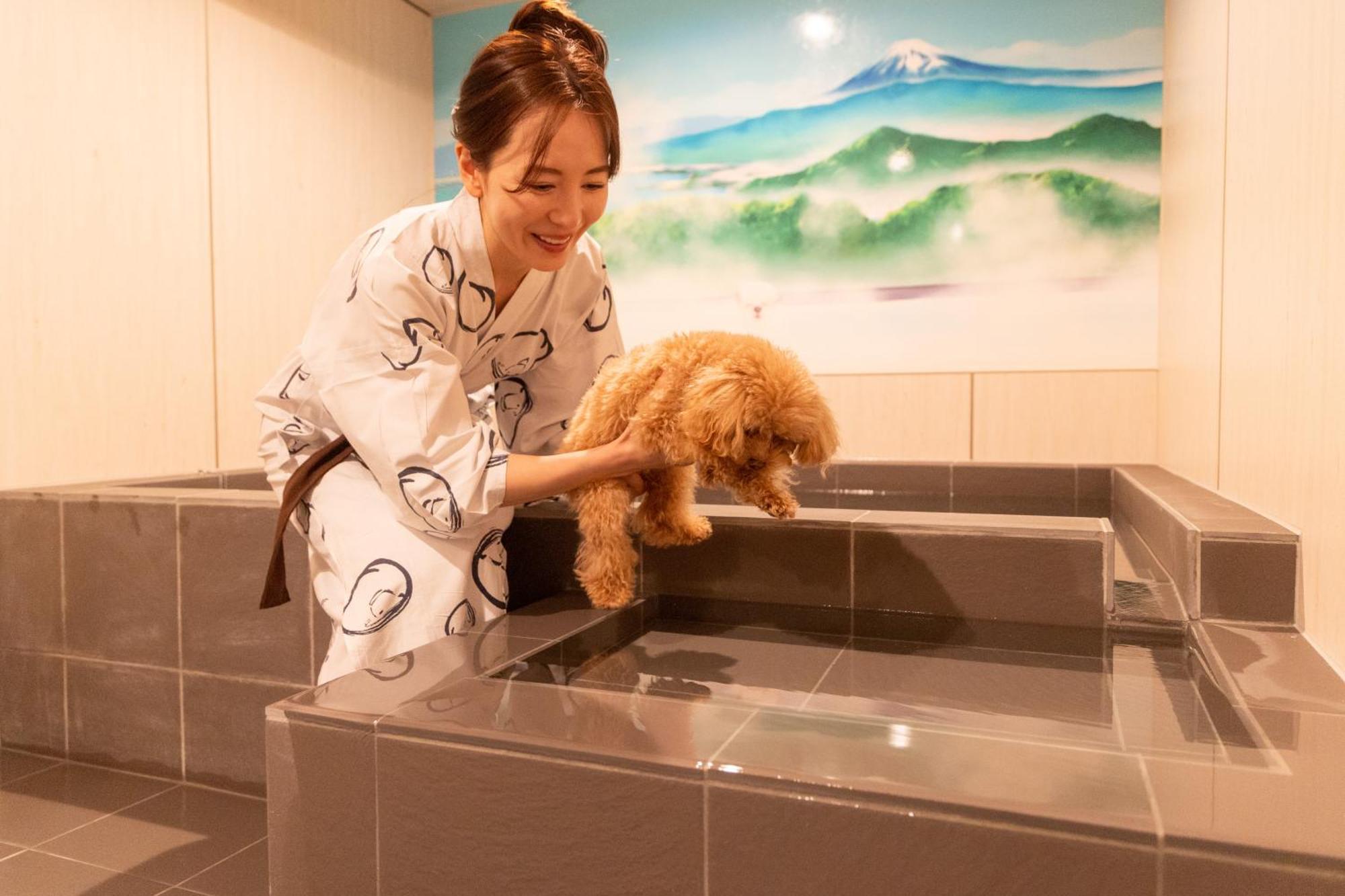 Komatsuya Hachinobou Izunokuni Buitenkant foto