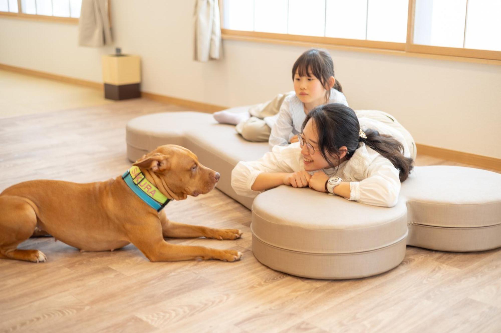 Komatsuya Hachinobou Izunokuni Buitenkant foto